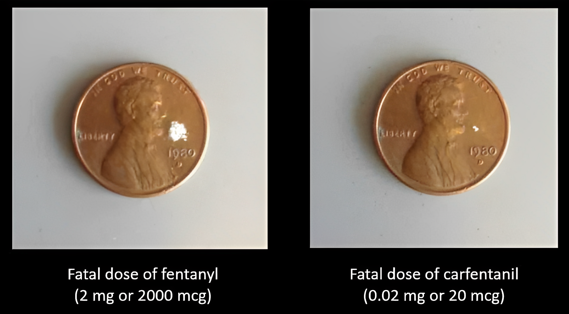 Carfentanil is a synthetic drug that is often combined with Heroin. It is 100 times more powerful than fentanyl and 25 grams could kill approximately 1 million people