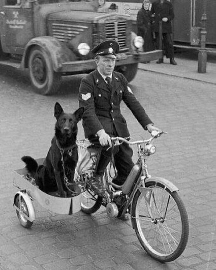Police Dog On Duty In A Side Car. 1930s.