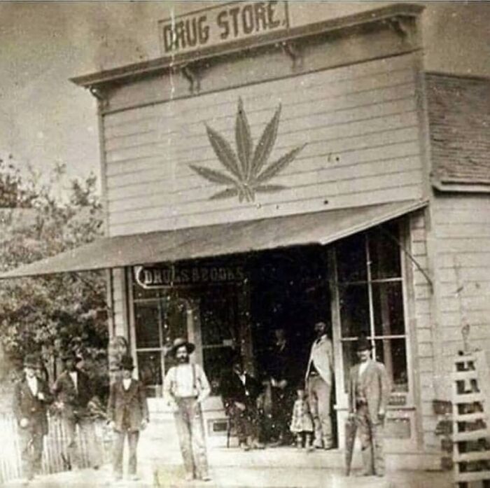 A Lot Of People Think That Hemp Is Some New Trend, Truth Is It Dates Back As Early As The 1800’s.