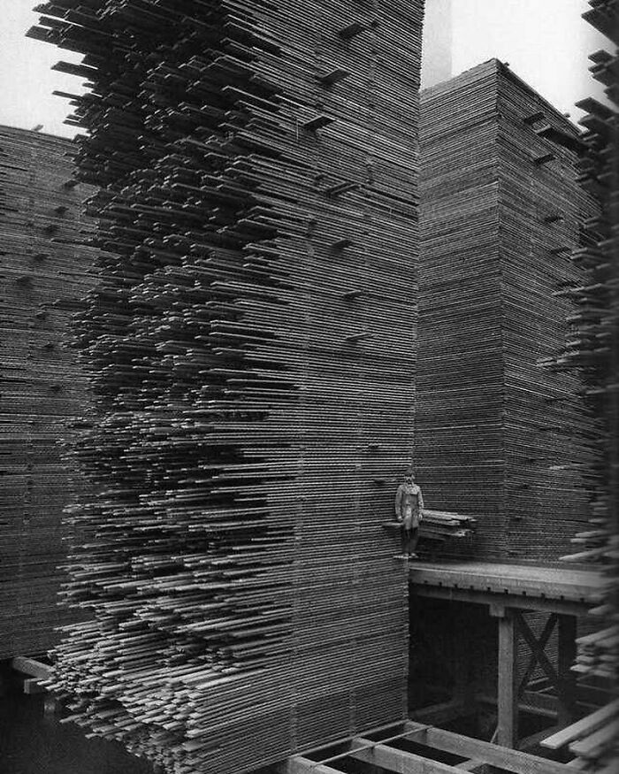 Man Standing In The Lumberyard Of Seattle Cedar Lumber Manufacturing, 1939.