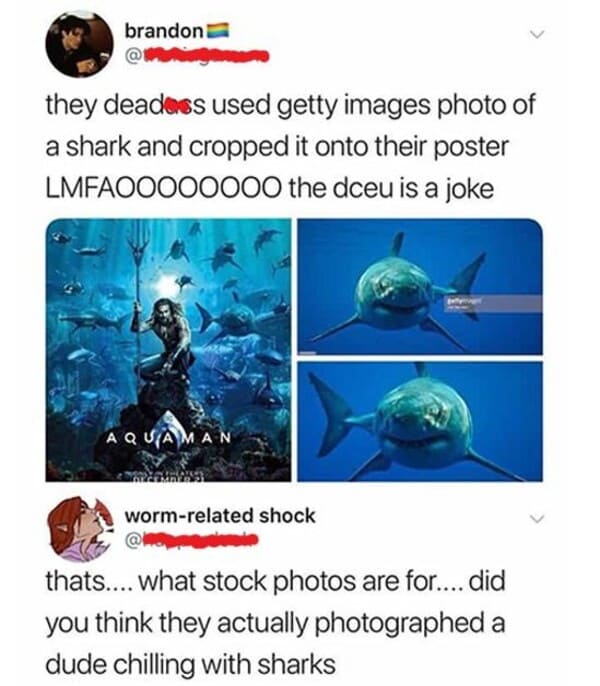 funny comments and replies - marine biology - brandon they deadoss used getty images photo of a shark and cropped it onto their poster LMFAOOOOOO00 the dceu is a joke Aquaman wormrelated shock thats.... what stock photos are for.... did you think they act