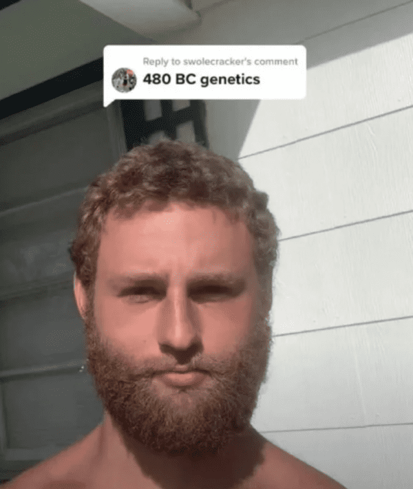 funny comments and replies - alan scheer - to swolecracker's comment 480 Bc genetics