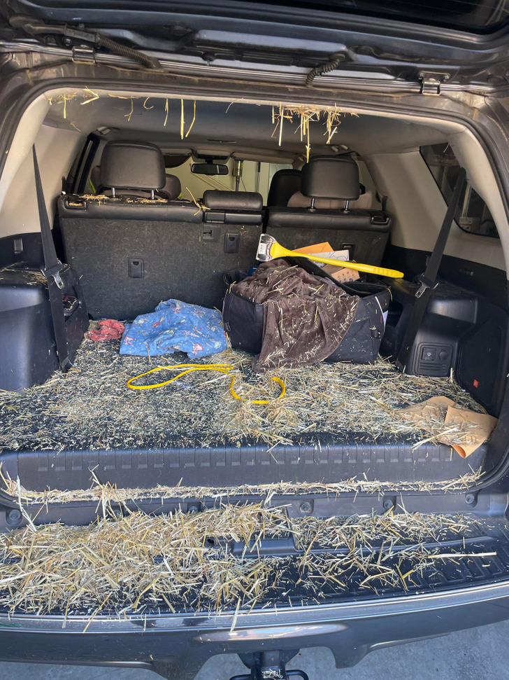 “Buy some hay,” she said. “It will be cool for the fall decorations,” she said.