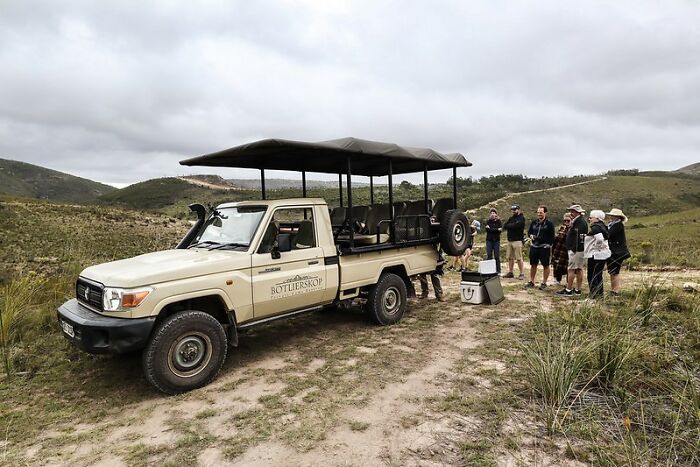 Safari Guide - dangerous animals can literally be anywhere, including right next to the vehicle and you may not be able to see them. Don't think that you can walk around unsupervised because you can honestly be attacked if you don't know what to do.