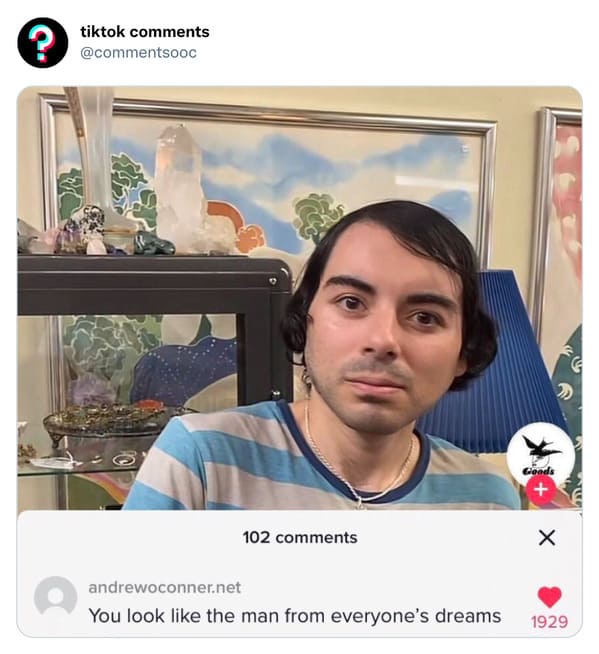 funny tiktok comments - photo caption - ? tiktok 102 andrewoconner.net You look the man from everyone's dreams Goods X 1929