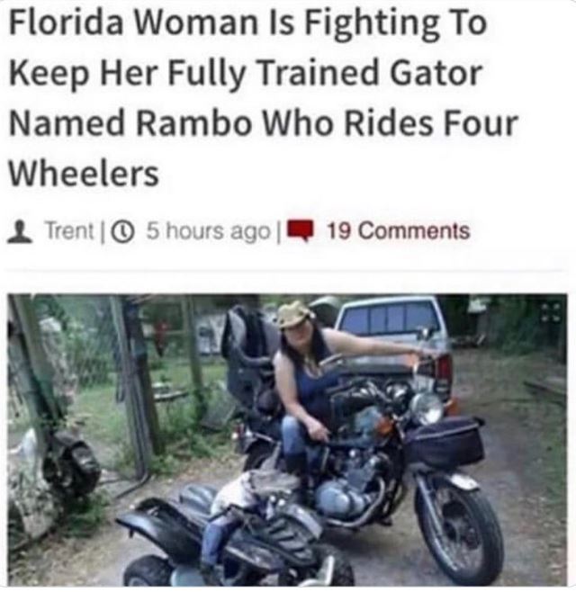 WTF news headlines - motorcycling - Florida Woman Is Fighting To Keep Her Fully Trained Gator Named Rambo Who Rides Four Wheelers Trent | 5 hours ago | 19