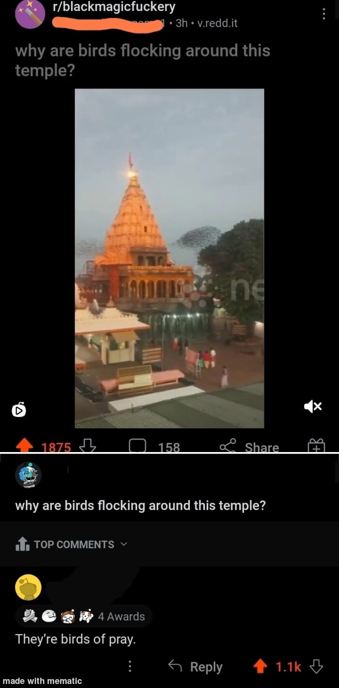 Funny Comments - why are birds flocking around this temple?