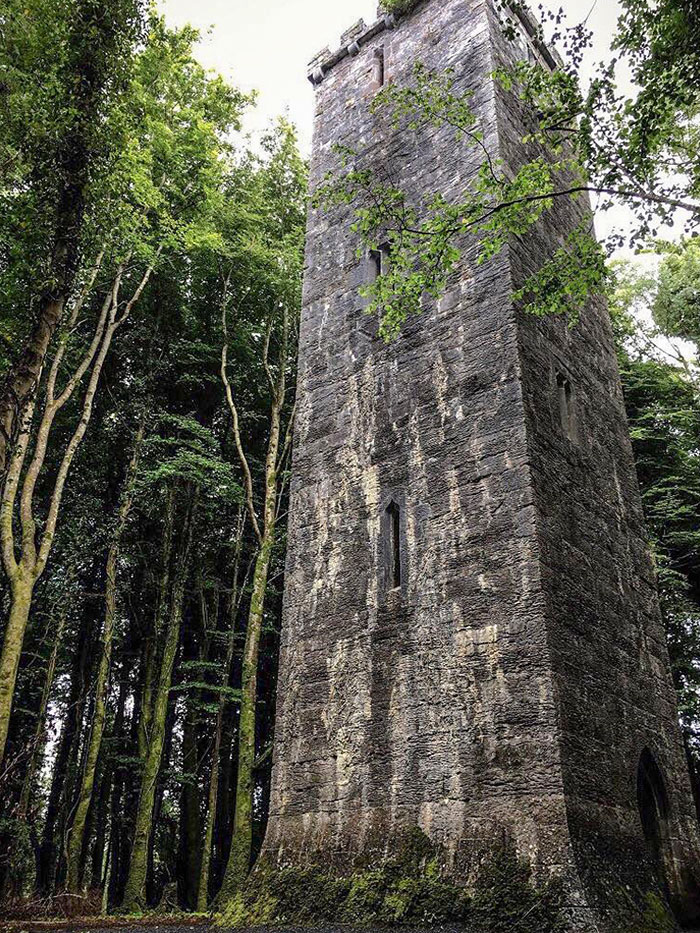 This Tower We Found In An Irish Forest Looks Like Something Out Of A Fairytale