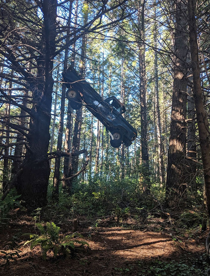 I Have No Good Explanation For This. Found Three Hours Into A Deep Forest, 20ft In The Air, And Impaled On A Tree. Hours Away From Major Roads