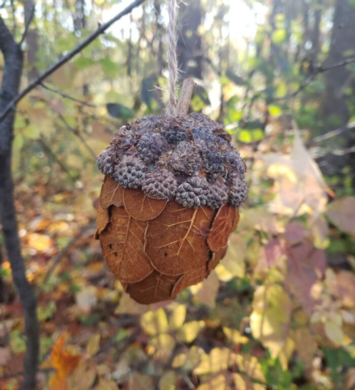 I Found A Plant-Based, Man-Made "Acorn" Hanging In The Middle Of The Woods