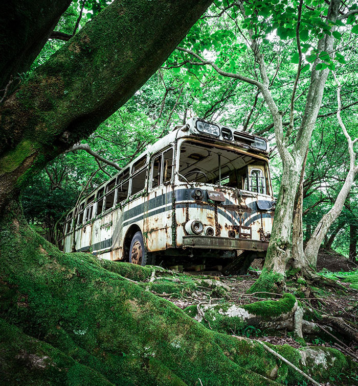 Sleeping Bus In A Japanese Forest