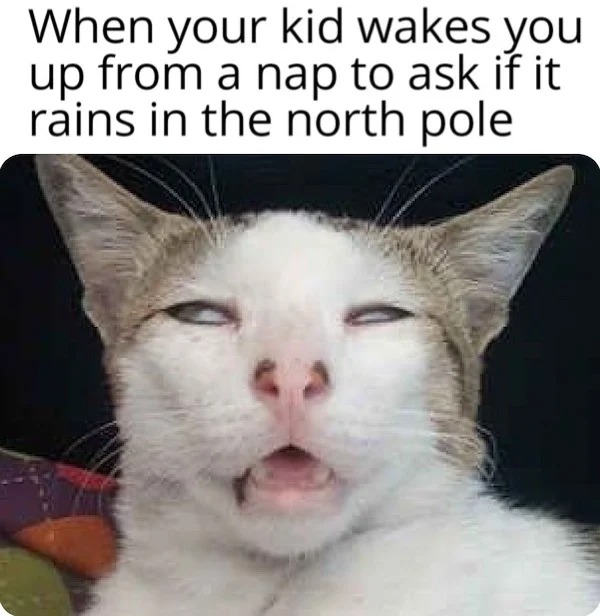 relatable memes - photo caption - When your kid wakes you up from a nap to ask if it rains in the north pole