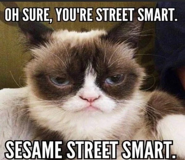 relatable memes - photo caption - Oh Sure, You'Re Street Smart. Sesame Street Smart.