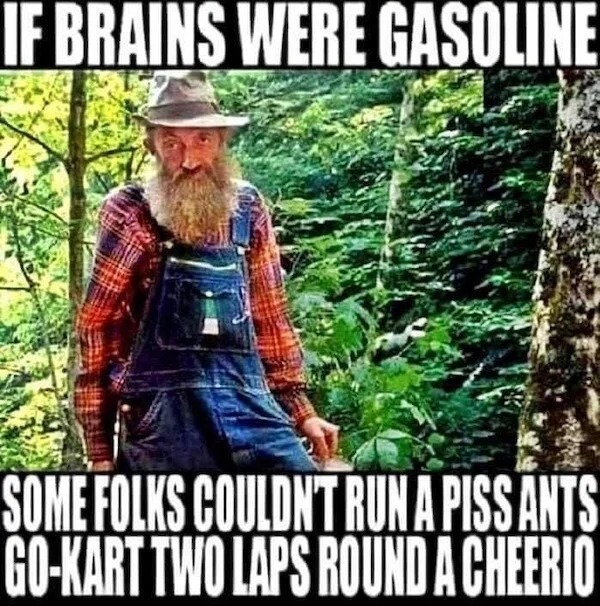 relatable memes - tree - If Brains Were Gasoline Some Folks Couldn'T Run A Piss Ants GoKart Two Laps Round A Cheerio