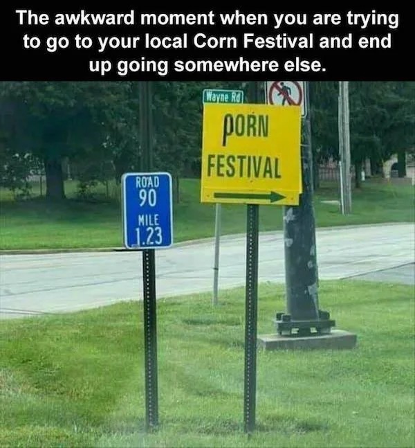 spicy pics and dank memes - street sign - The awkward moment when you are trying to go to your local Corn Festival and end up going somewhere else. Wayne Rd Road 90 Mile 1.23 Porn Festival