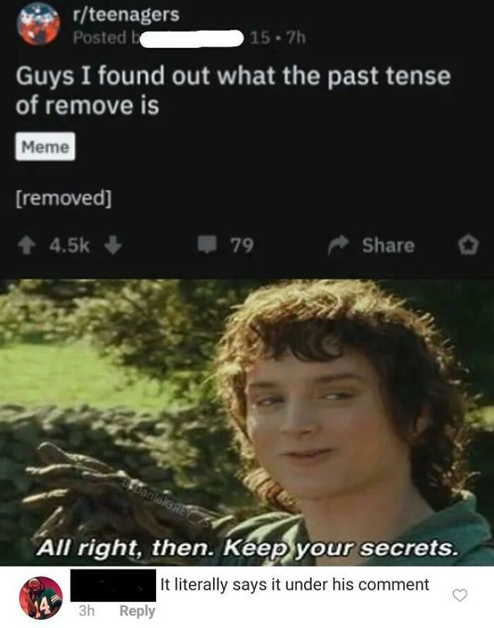 missed the joke - screenshot - rteenagers Posted b Guys I found out what the past tense of remove is Meme removed 145 DanielGREY 3h 15.7h All right, then. Keep your secrets. It literally says it under his comment 79