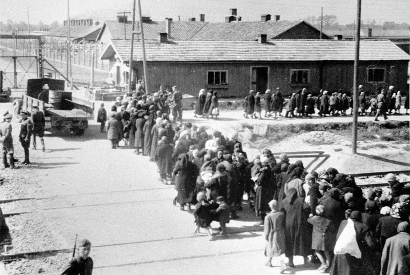 darker side of life - memorial and museum auschwitz-birkenau