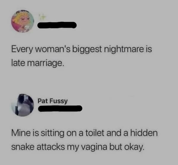 oddly specific jokes - every woman's biggest nightmare is late marriage - Every woman's biggest nightmare is late marriage. Pat Fussy Mine is sitting on a toilet and a hidden snake attacks my vagina but okay.
