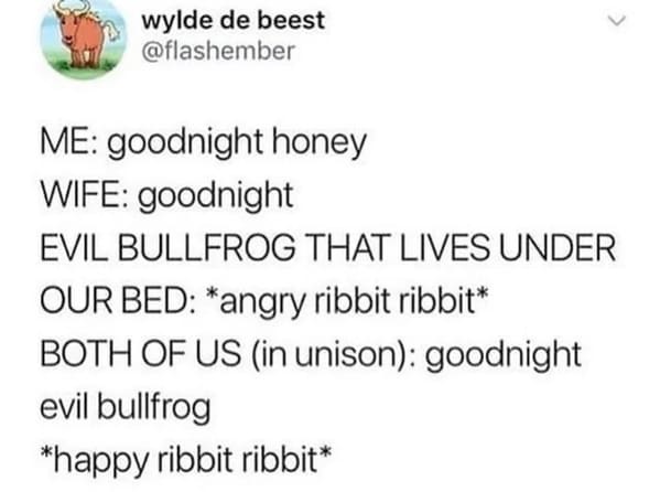 oddly specific jokes - paper - wylde de beest Me goodnight honey Wife goodnight Evil Bullfrog That Lives Under Our Bed angry ribbit ribbit Both Of Us in unison goodnight evil bullfrog happy ribbit ribbit