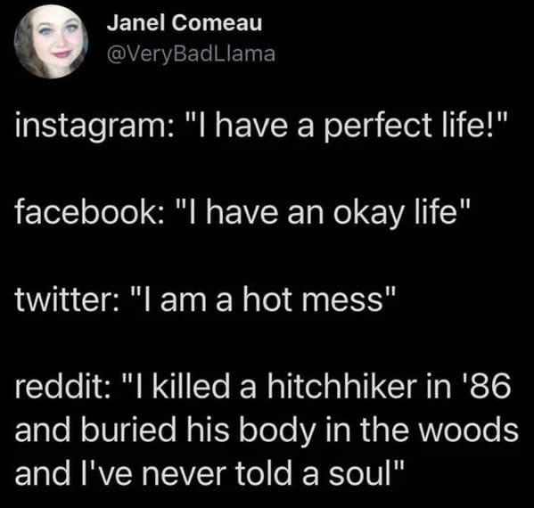 oddly specific jokes - photo caption - Janel Comeau instagram "I have a perfect life!" facebook "I have an okay life" twitter "I am a hot mess" reddit "I killed a hitchhiker in '86 and buried his body in the woods and I've never told a soul"