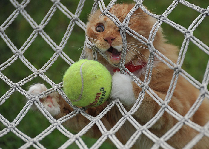 24 Products That Have A Better Use Than Their Intended Functions.