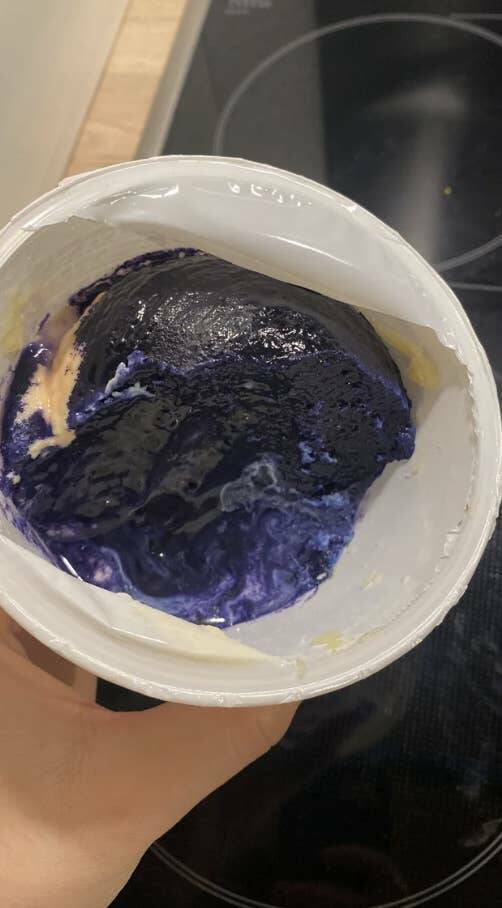 This moldy ricotta that's actually kind of pretty: