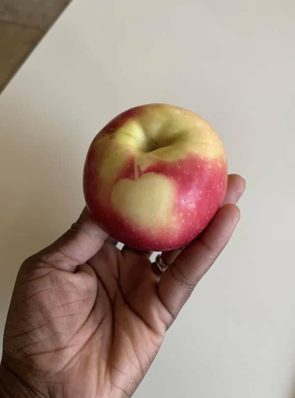 This apple with an apple on it (meta):