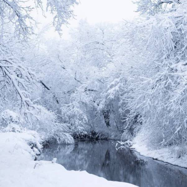 This Minnesota creek that's a winter wonderland: