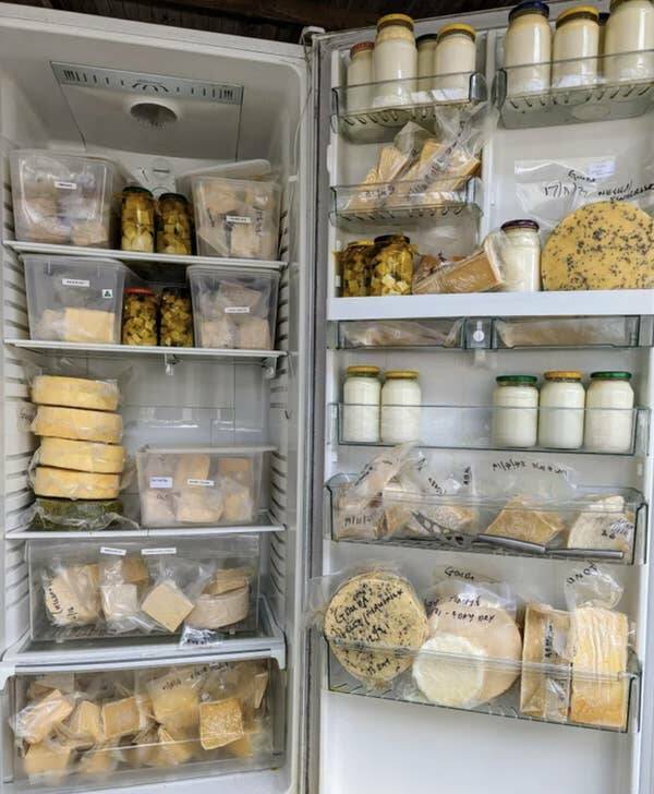 This person's homemade "cheese cave":