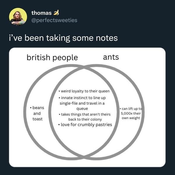 funny tweets - british people and ants - thomas i've been taking some notes british people .beans and toast ants weird loyalty to their queen innate instinct to line up singlefile and travel in a queue takes things that aren't theirs back to their colony 