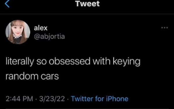 people caught doing illegal stuff - take my friendships and relationships seriously - alex Tweet literally so obsessed with keying random cars 32322 Twitter for iPhone