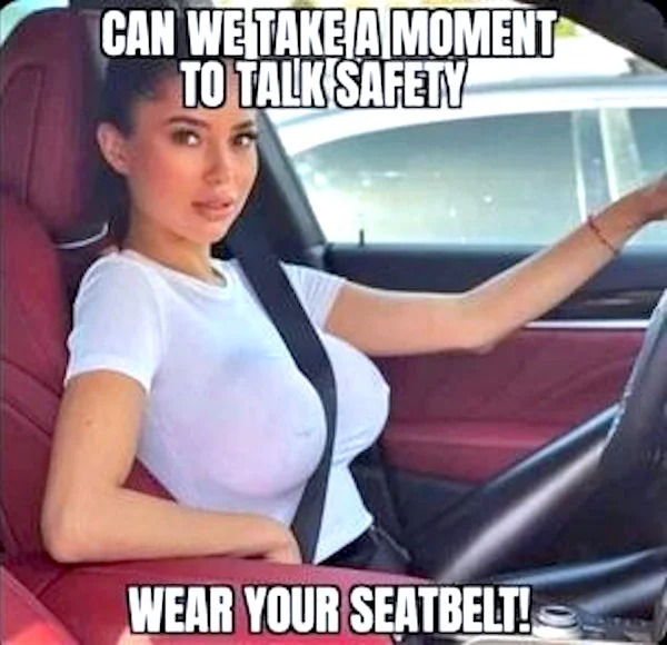 spicy sex meems - windshield - Can We Take A Moment To Talk Safety Wear Your Seatbelt!