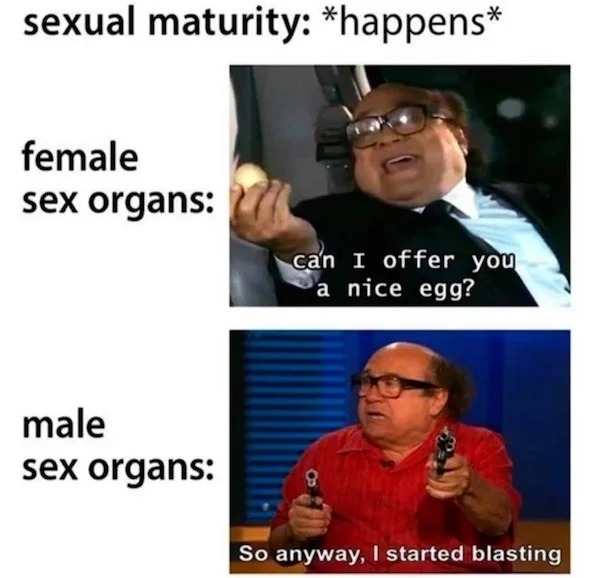 spicy sex meems - memes about puberty - sexual maturity happens female sex organs male sex organs can I offer you a nice egg? 8 So anyway, I started blasting