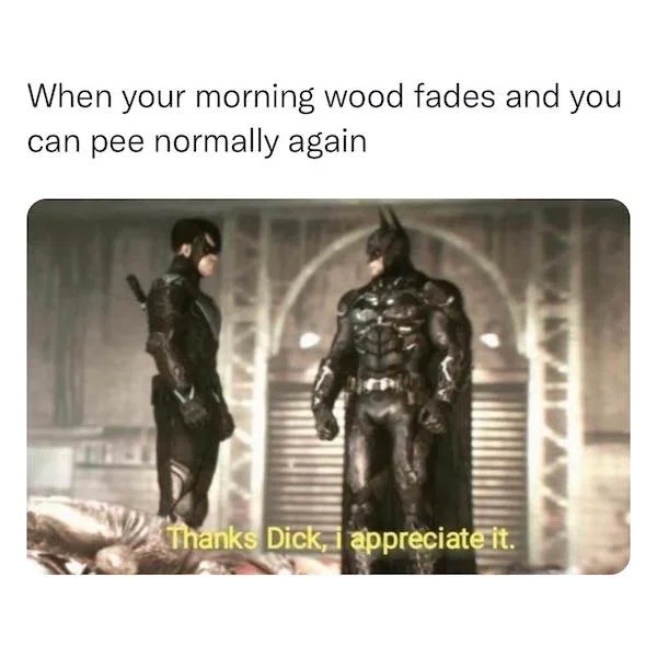 spicy sex meems - photo caption - When your morning wood fades and you can pee normally again Thanks Dick, I appreciate it.