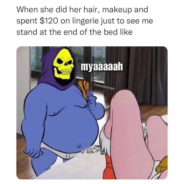spicy sex meems - cartoon - When she did her hair, makeup and spent $120 on lingerie just to see me stand at the end of the bed Sello Regie myaaaaah