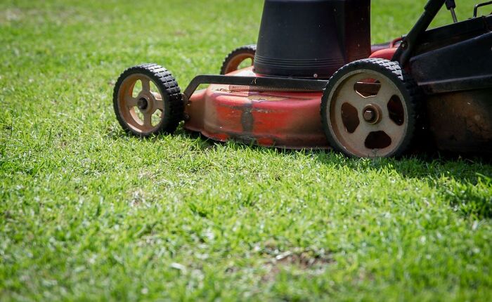 Well, my cousin who has two f*****g masters degrees in finance and economics, put his hand in still spinning lawnmower to help it blow out rest of grass faster. He lost a finger.

I asked why he didn’t wait till it stopped completely.

He said it was just in a hurry.