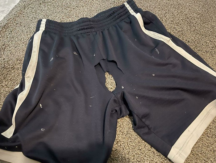 My Wife Kept Threatening To Throw Away My Favorite Pair Of Yard Work Shorts. Today I Found Them Like This