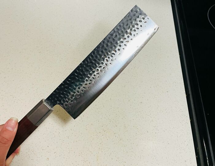 My Partner Decided To Wash My Recently-Purchased Japanese Knife In The Dishwasher