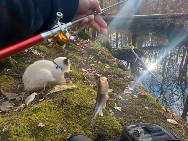 “My brother takes his cat fishing with him.”