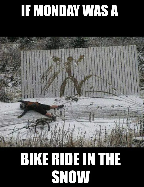 team - If Monday Was A Bike Ride In The Snow