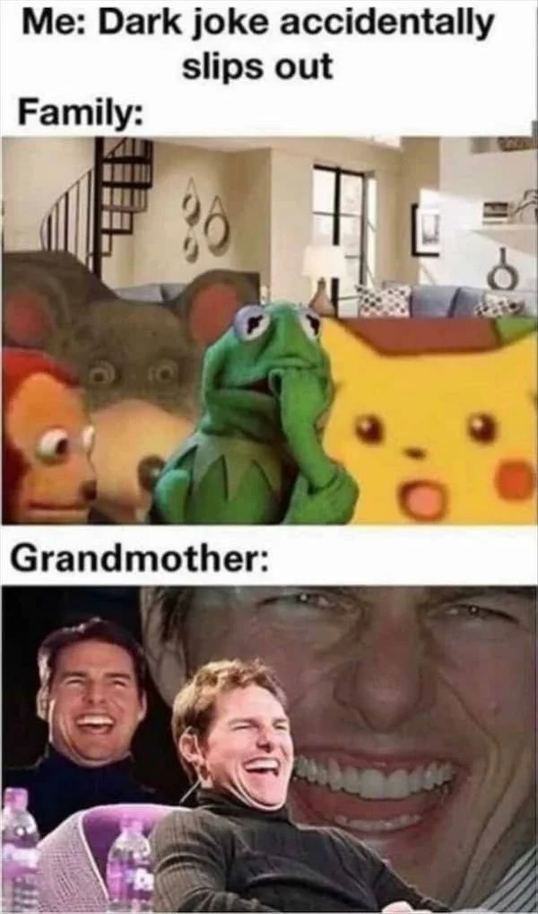 dark humor family meme - Me Dark joke accidentally slips out Family Grandmother Te