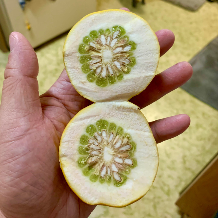 ’’The lemons from the tree in my yard are mostly peel and rind.’’