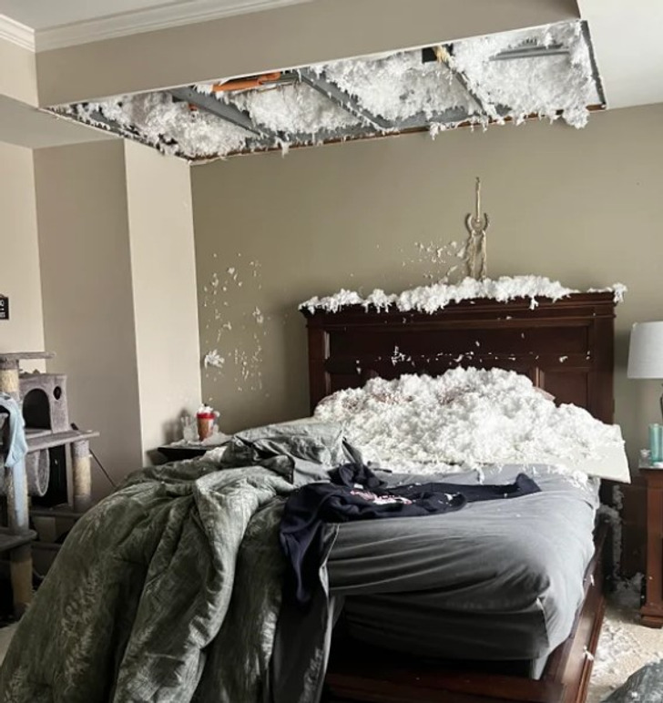 ’’A pipe burst on Christmas and destroyed our entire house...’’