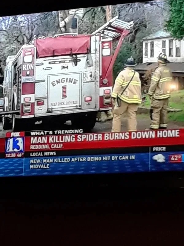 times life escalated way too quickly -  man burns down house trying to kill spider - Pyme Rdn # R Engine Beer Back 300 Feet Fox What'S Trending 13 48 Man Killing Spider Burns Down Home Redding, Calif. Local News New Man Killed After Being Hit By Car In Mi