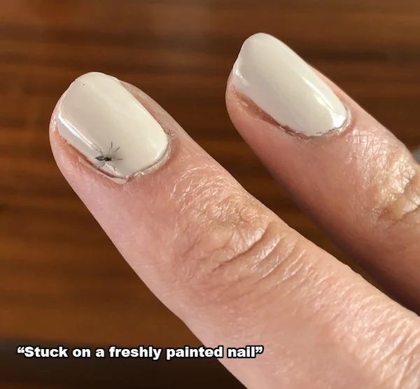 times life escalated way too quickly -  stuck nail - "Stuck on a freshly painted nail"
