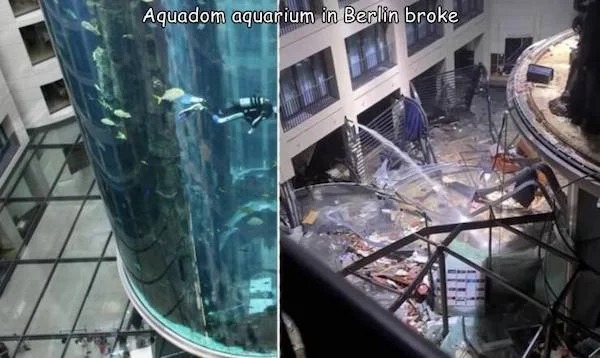 times life escalated way too quickly -  aquarium burst berlin - Aquadom aquarium in Berlin broke