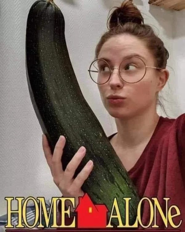 spicy sex memes - home alone box set - Home Alone