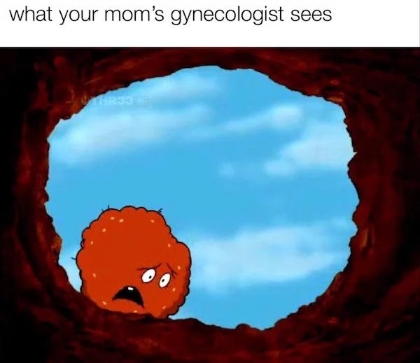 spicy sex memes - sky - what your mom's gynecologist sees HR33
