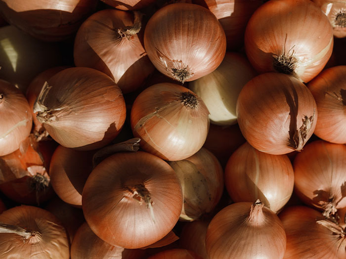 onions are toxic to dogs. They can cause hemolytic anemia and result in death. A 45-lb. dog would only have to eat one medium to large onion to experience dangerous toxicity levels.