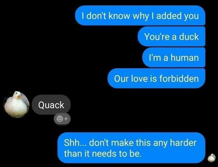 wtf cringe pics - you are a duck our love is forbidden - Quack I don't know why I added you You're a duck I'm a human Our love is forbidden Shh... don't make this any harder than it needs to be.